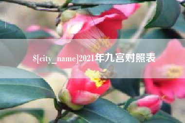 海宁2021年九宫对照表
