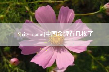 海宁中国金牌有几枚了