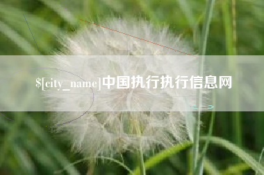 海宁中国执行执行信息网