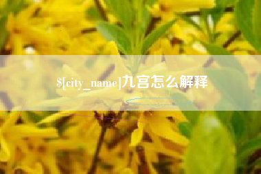 海宁九宫怎么解释