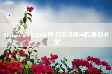 海宁2021中国消防救援学院录取分数