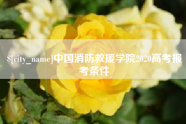 海宁中国消防救援学院2020高考报考条件