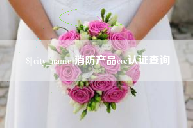 海宁消防产品ccc认证查询