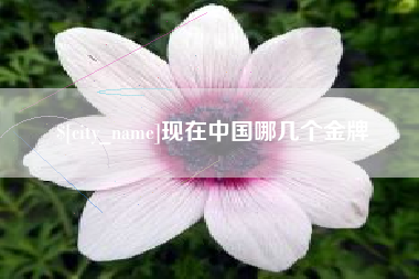 海宁现在中国哪几个金牌