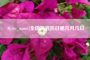 海宁全国的消防日是几月几日