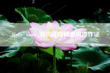 海宁消防证国网查询操作证
