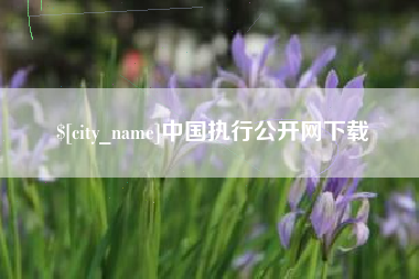 海宁中国执行公开网下载