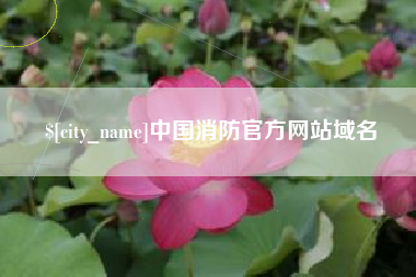 海宁中国消防官方网站域名