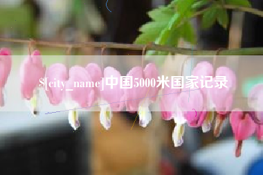 海宁中国5000米国家记录