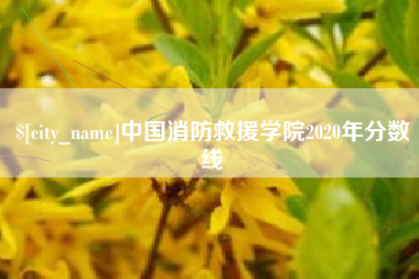 海宁中国消防救援学院2020年分数线