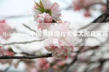 海宁中国金牌图片大全大图真实高清