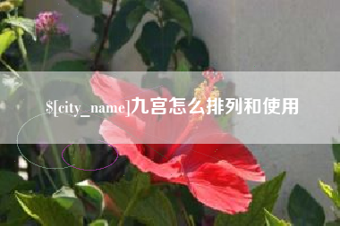 海宁九宫怎么排列和使用