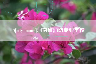 海宁河南省消防专业学校
