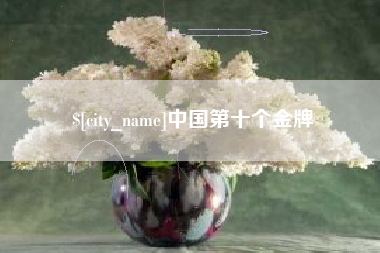 海宁中国第十个金牌