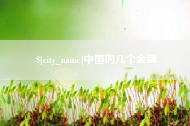 海宁中国的几个金牌