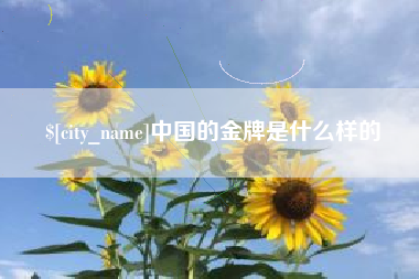 海宁中国的金牌是什么样的