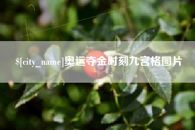海宁奥运夺金时刻九宫格图片