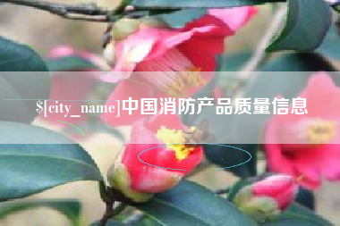 海宁中国消防产品质量信息