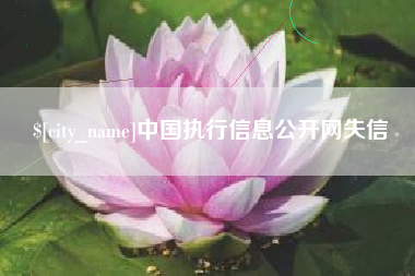海宁中国执行信息公开网失信