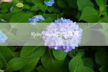 海宁2022九宫