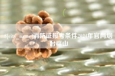 海宁消防证报考条件2024年官网烟台福山