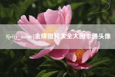 海宁金牌图片大全大图卡通头像
