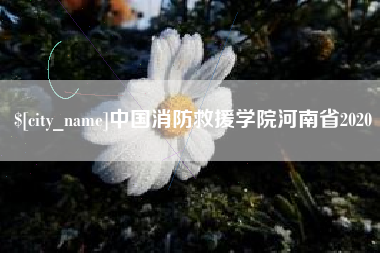 海宁中国消防救援学院河南省2020